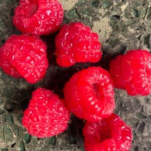 Meet your Posher, Elly